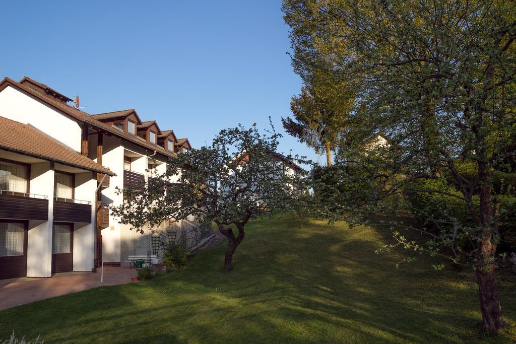 Hotel Am Lingelbach Knullwald Ngoại thất bức ảnh