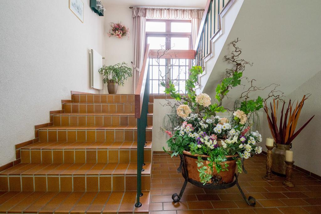 Hotel Am Lingelbach Knullwald Ngoại thất bức ảnh
