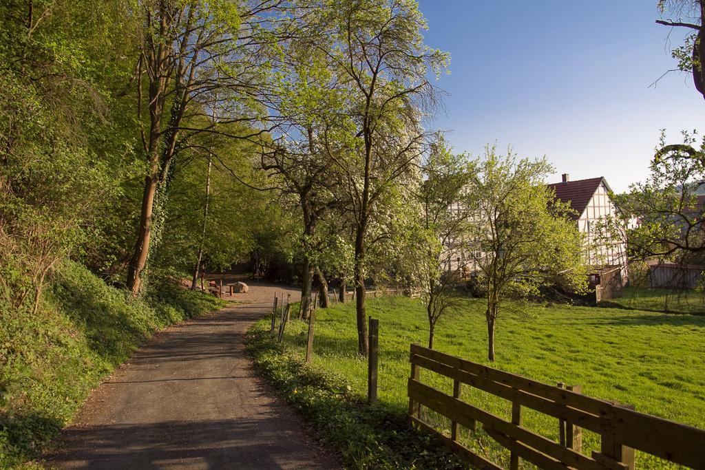 Hotel Am Lingelbach Knullwald Ngoại thất bức ảnh
